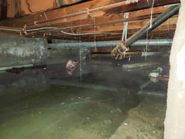 Trusted Fountain Hills, AZ Water damage restoration Experts